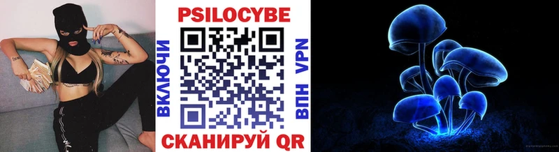 продажа наркотиков  Краснозаводск  Псилоцибиновые грибы ЛСД 